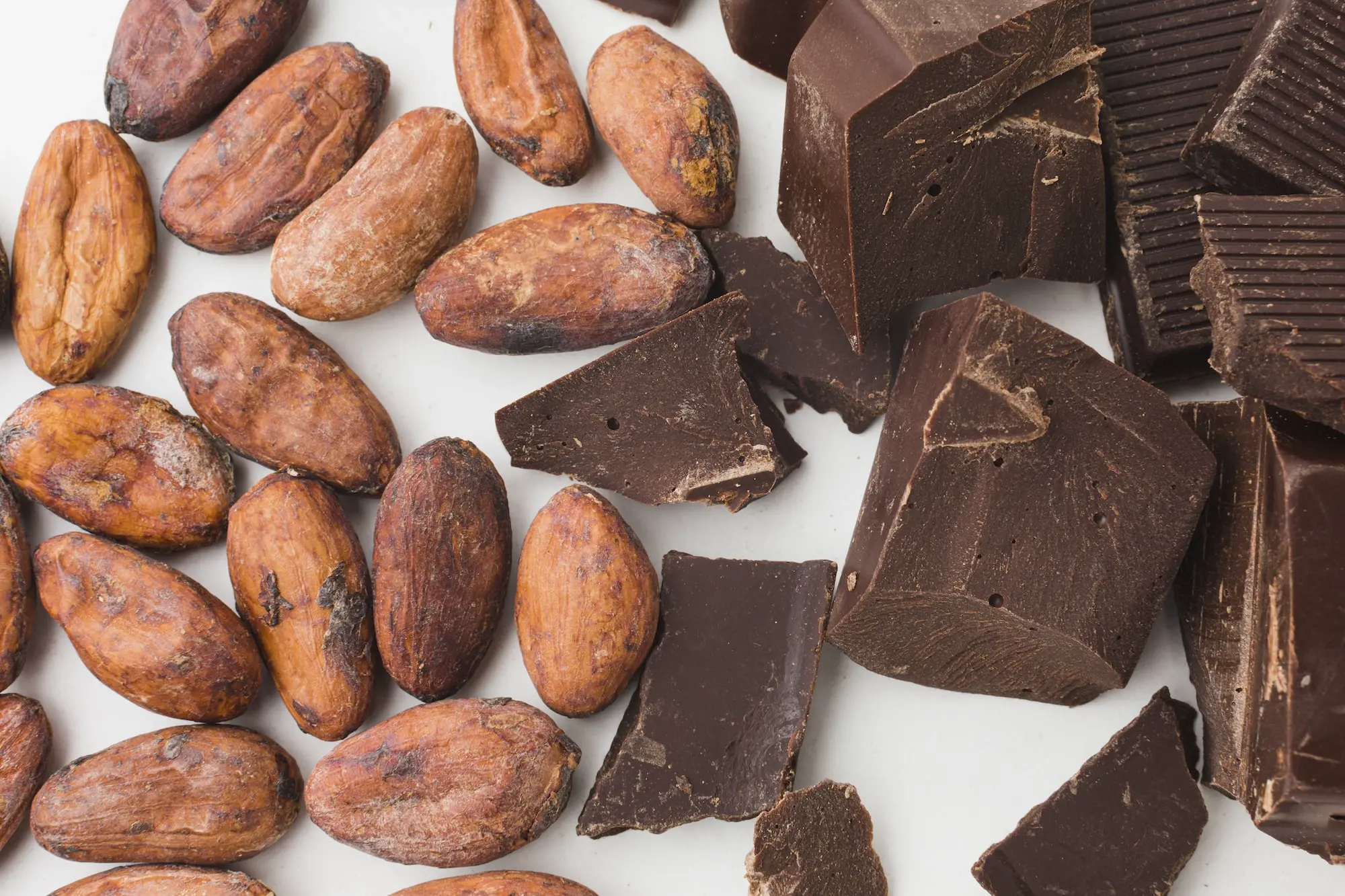 Image de morceaux de chocolat noir et de fèves de cacao, symboles de gourmandises et de bienfaits pour la santé